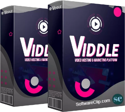 viddle review Poster